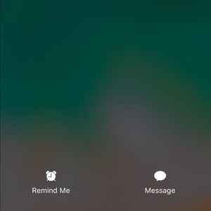 Meet your Posher, Dailanys